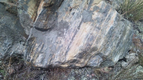 Гигантские зелёные валуны для ландшафтного дизайна весом более 5 тонн купить в Электроуглях